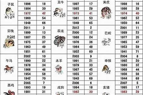 2005属什么|2005年1月出生属什么生肖